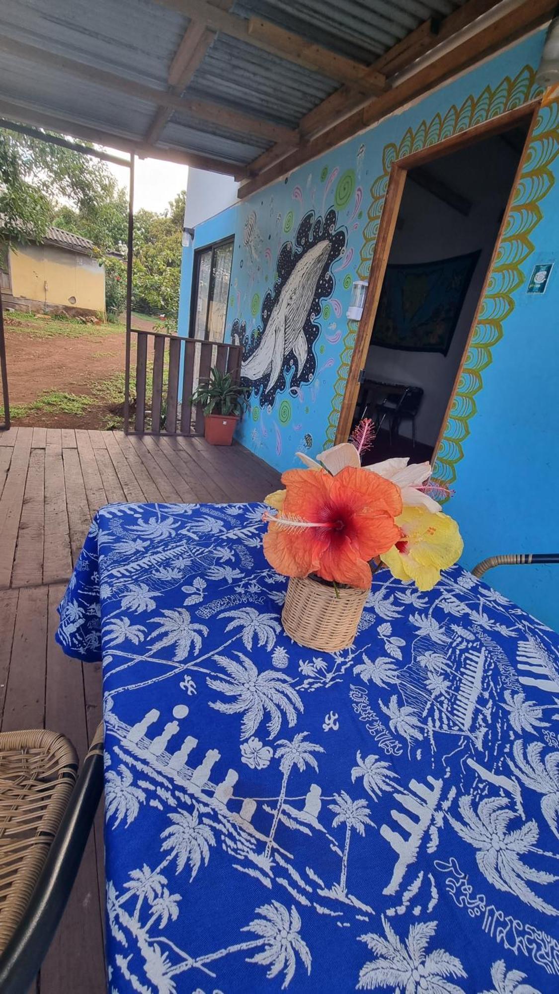 Cabanas Henua Roa Hanga Roa Oda fotoğraf